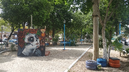 palapas